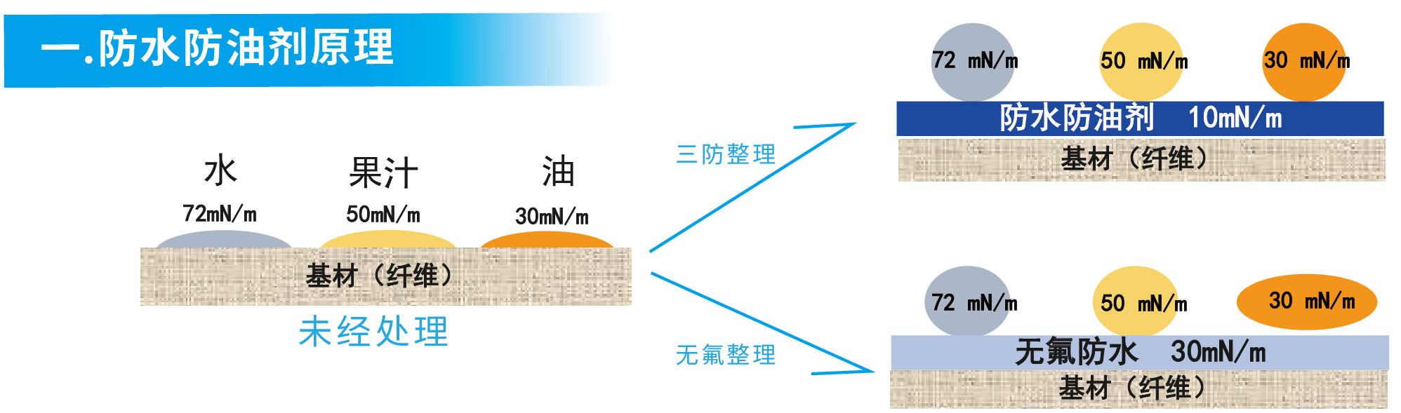 新-福可新宣传画册-定稿源文件20200926_画板-1-副本-8.jpg